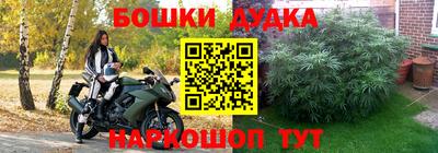 прущие крисы Бузулук