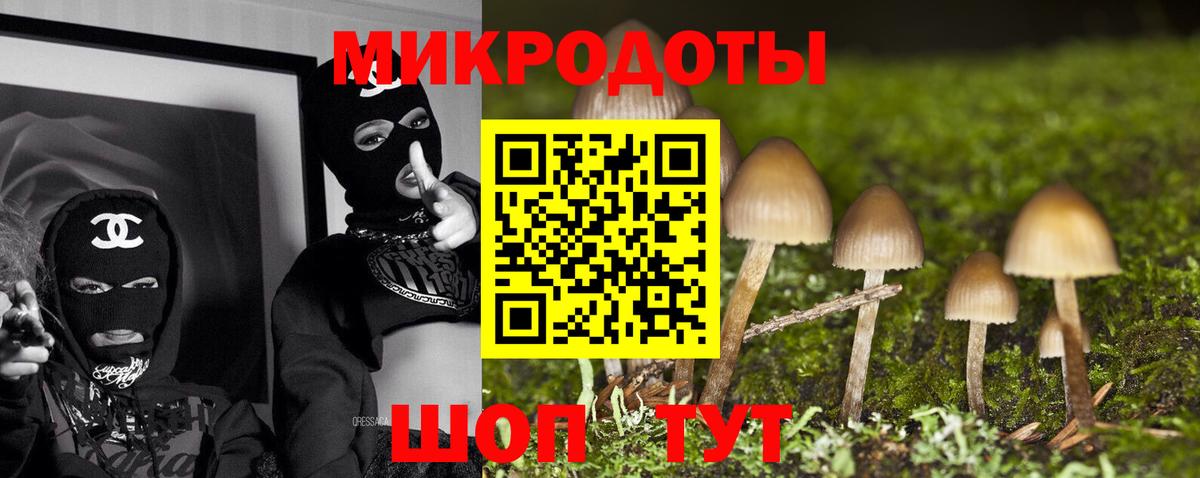 закладки  Вход с VPN  Тимашёвск  Псилоцибиновые грибы Cubensis 